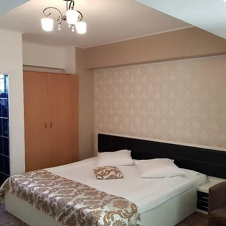 Dalin Hotell 3*